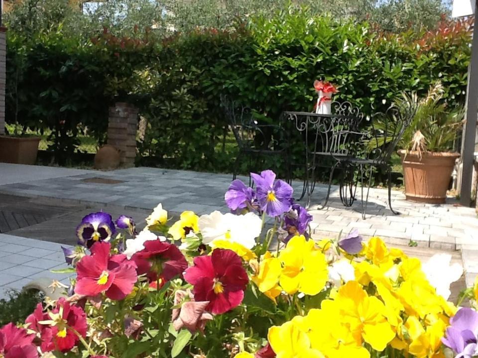 Villa Elisa Gambettola Екстер'єр фото